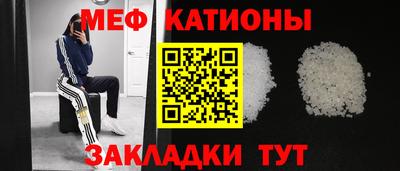 сатива Новозыбков