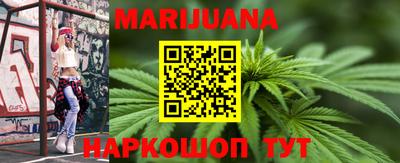 сатива Новозыбков