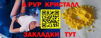 стаф Новокубанск