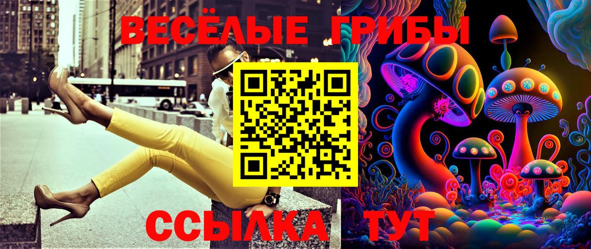 Галлюциногенные грибы мухоморы  Псилоцибиновые грибы Magic Shrooms  Тара  как найти закладки  Вход с VPN 