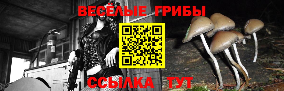 Галлюциногенные грибы прущие грибы Тара